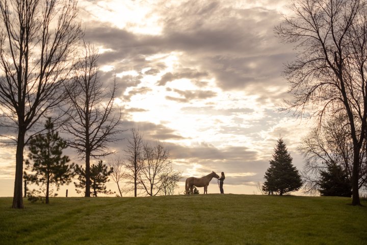 A person stands with a horse on a grassy hill at sunset, silhouetted against a cloudy sky. Bare trees and evergreens frame the scene, creating a peaceful, serene atmosphere.